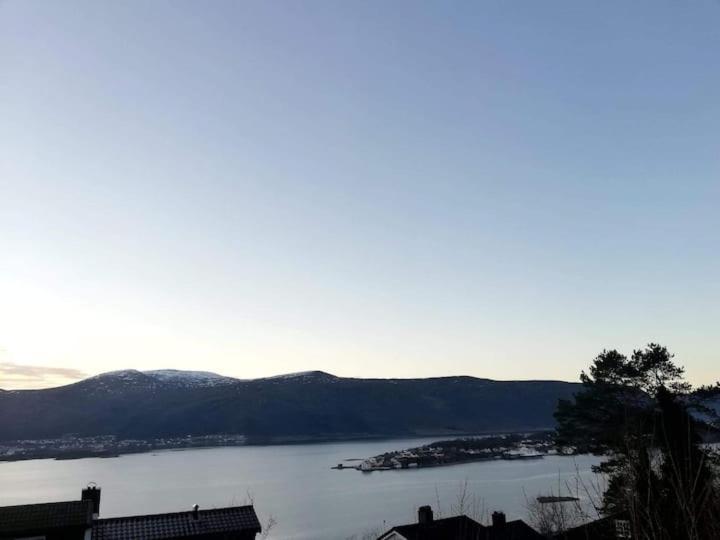 Cozy, Inspiring Apartment!!! Ålesund Exterior foto